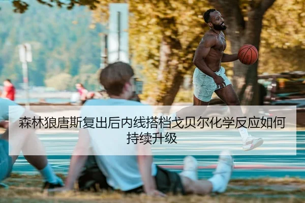 森林狼唐斯复出后内线搭档戈贝尔化学反应如何持续升级