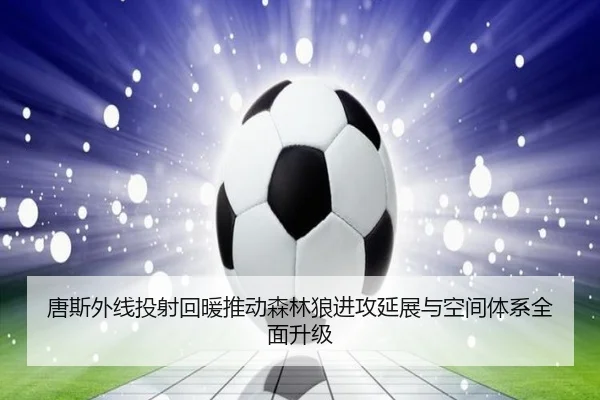img_1780069416850_2393_1_845.jpg